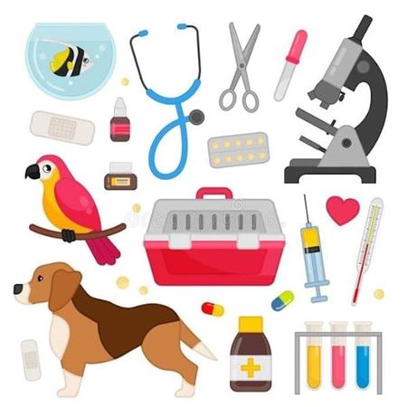 Picture for category Veterinary supplies industry